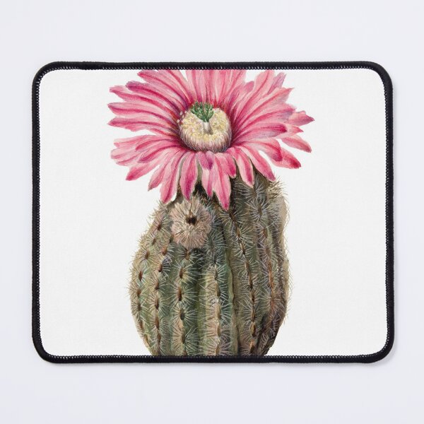 Item preview, Vintage Turkeyhead Cactus designed and sold by JoyforU.