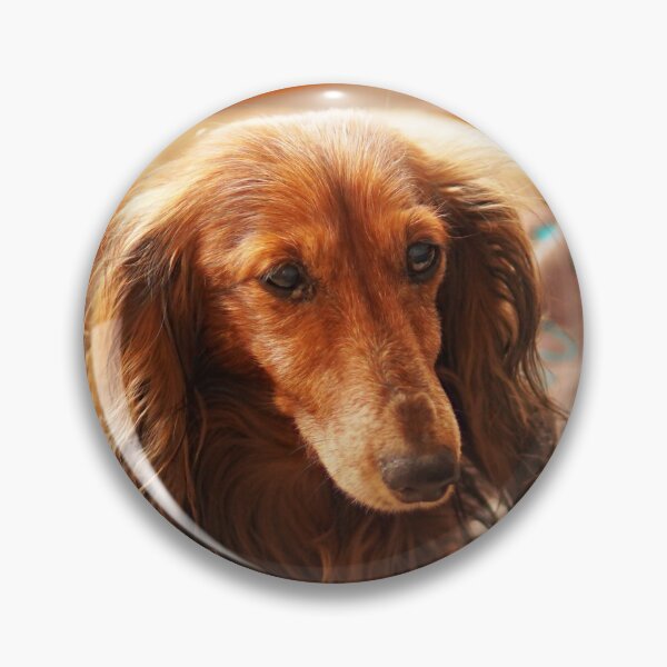 Item preview, Cute brown dachshund teckel dog designed and sold by EdgyDesignForU.