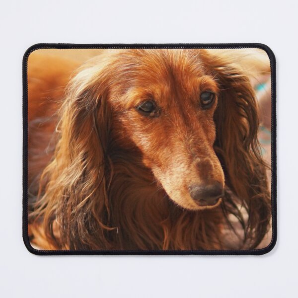 Item preview, Cute brown dachshund teckel dog designed and sold by EdgyDesignForU.