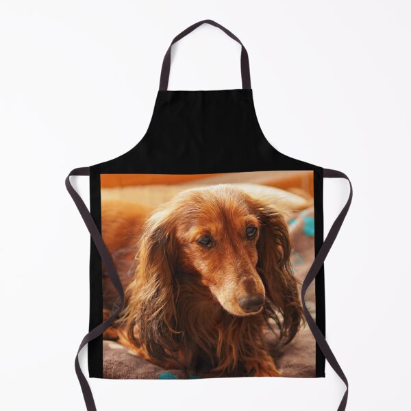 Item preview, Cute brown dachshund teckel dog designed and sold by EdgyDesignForU.
