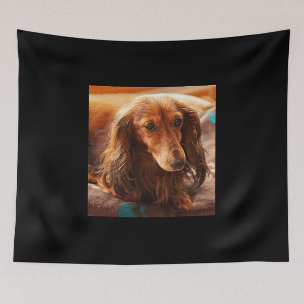 Item preview, Cute brown dachshund teckel dog designed and sold by EdgyDesignForU.