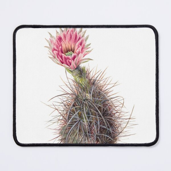Item preview, Vintage Cucumber cactus designed and sold by JoyforU.