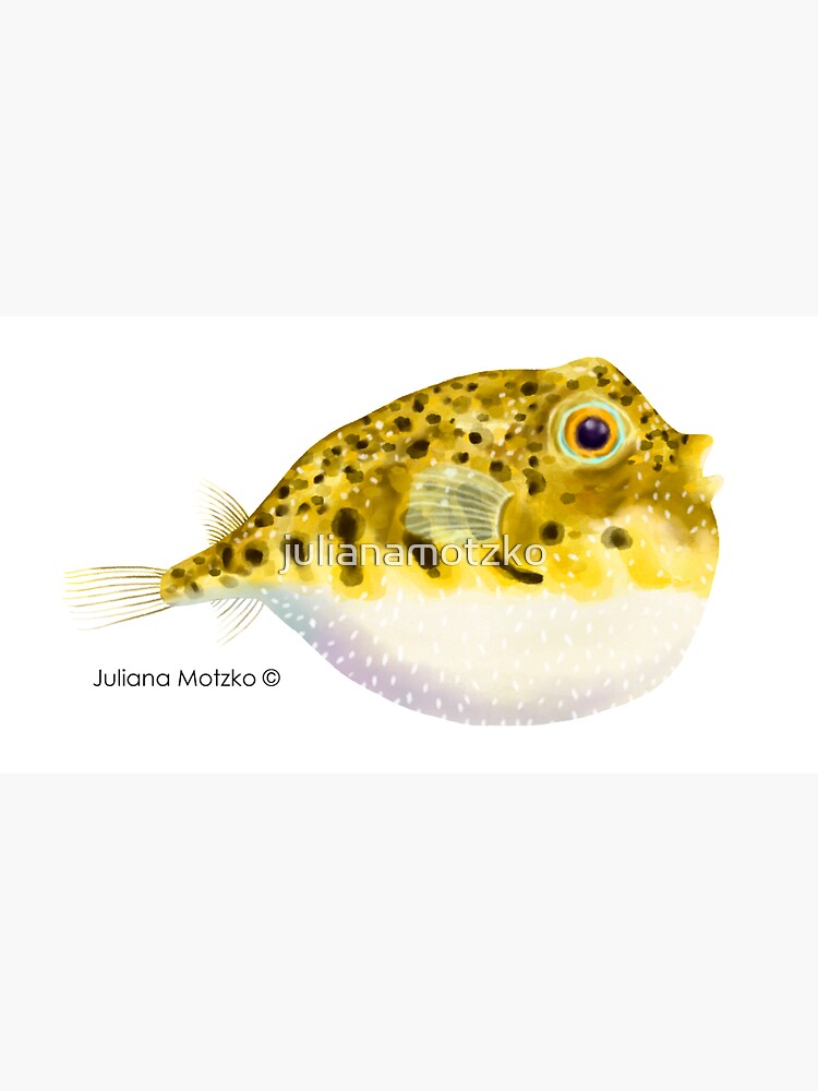 Pufferfish by julianamotzko