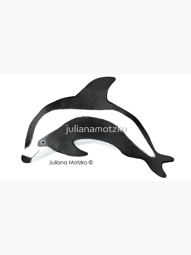 Hourglass Dolphin by julianamotzko