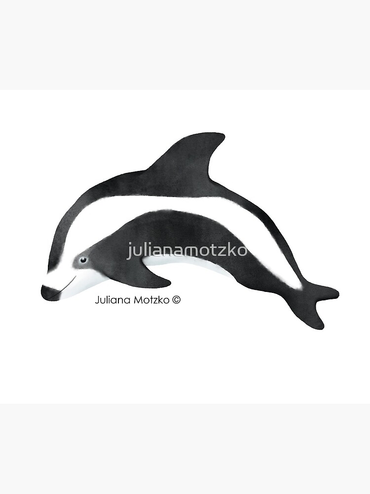 Hourglass Dolphin by julianamotzko