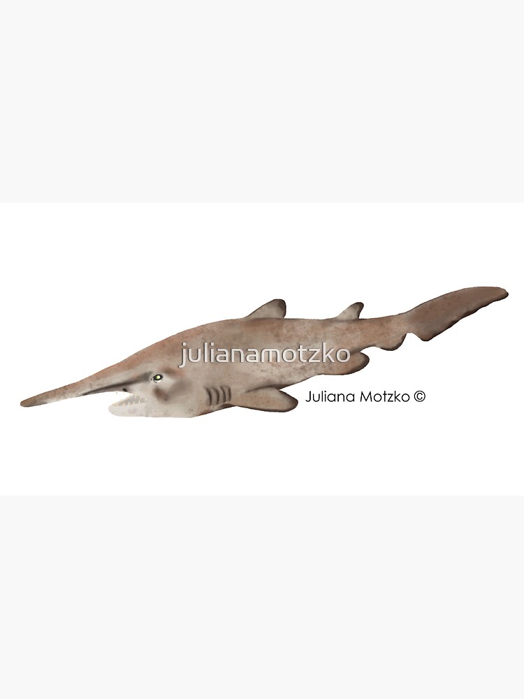 Goblin Shark by julianamotzko