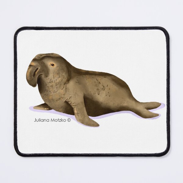 Item preview, Elephant Seal designed and sold by julianamotzko.