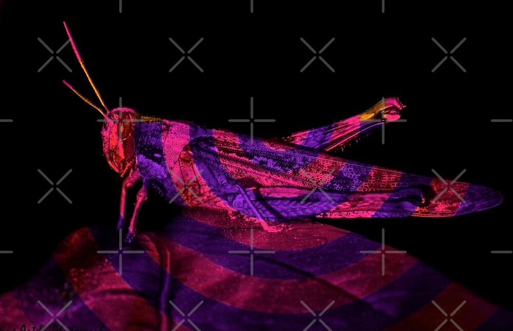 "Purple Hopper from " by Heather Friedman Redbubble