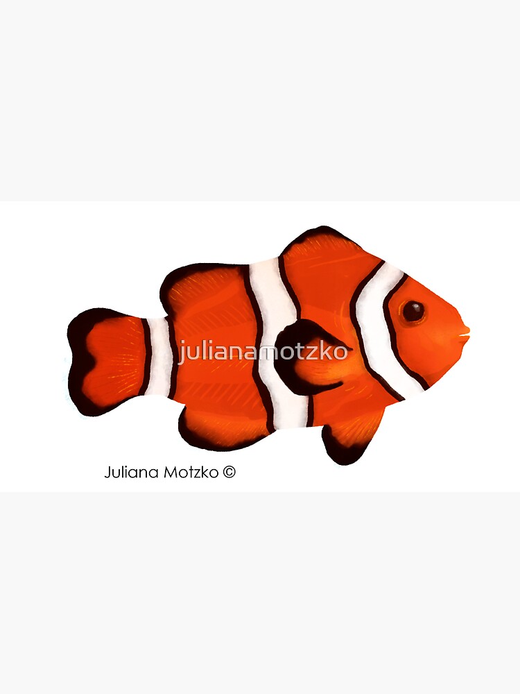 Clownfish by julianamotzko