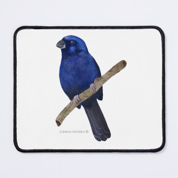 Item preview, Ultramarine Grosbeak bird designed and sold by julianamotzko.