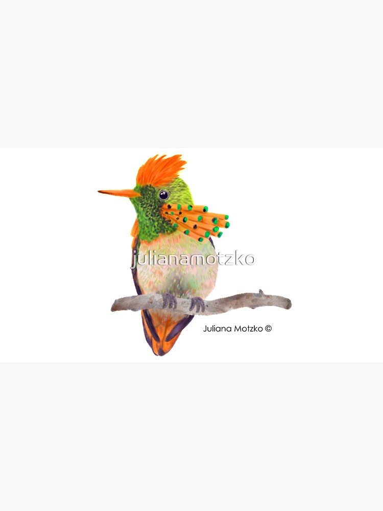 Tufted Coquette Hummingbird by julianamotzko