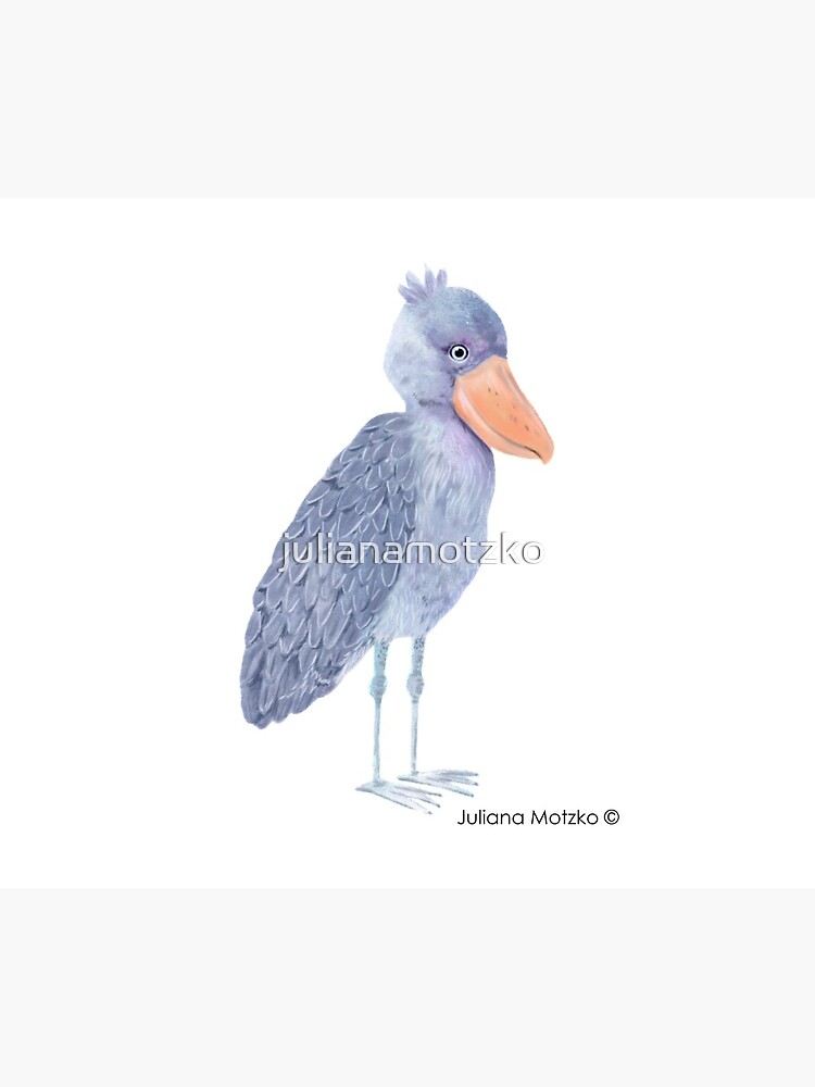 Shoebill Stork by julianamotzko