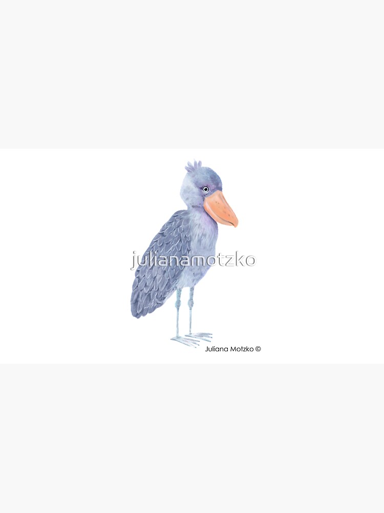 Shoebill Stork by julianamotzko