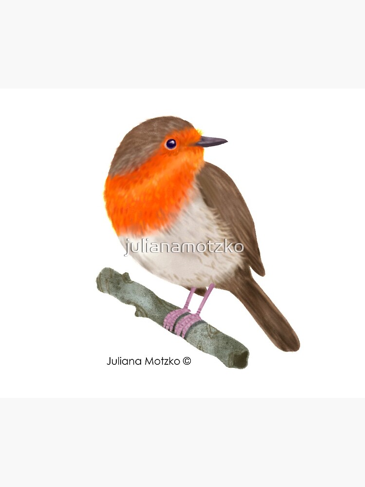 Robin Redbreast bird by julianamotzko