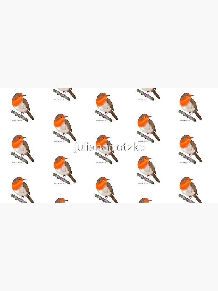 Robin Redbreast bird by julianamotzko