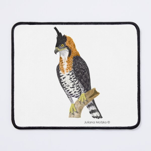 Item preview, Ornate Hawk Eagle designed and sold by julianamotzko.