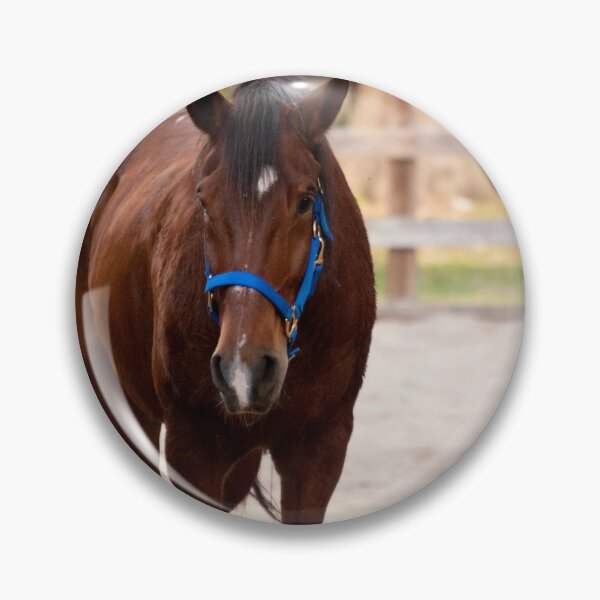 Item preview, Horse Picture designed and sold by FindYouByZ.