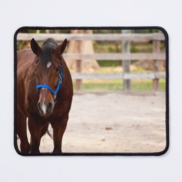 Item preview, Horse Picture designed and sold by FindYouByZ.