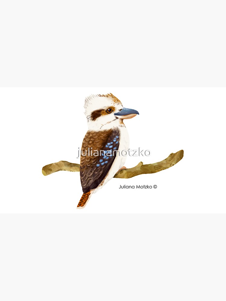 Kookaburra Bird by julianamotzko