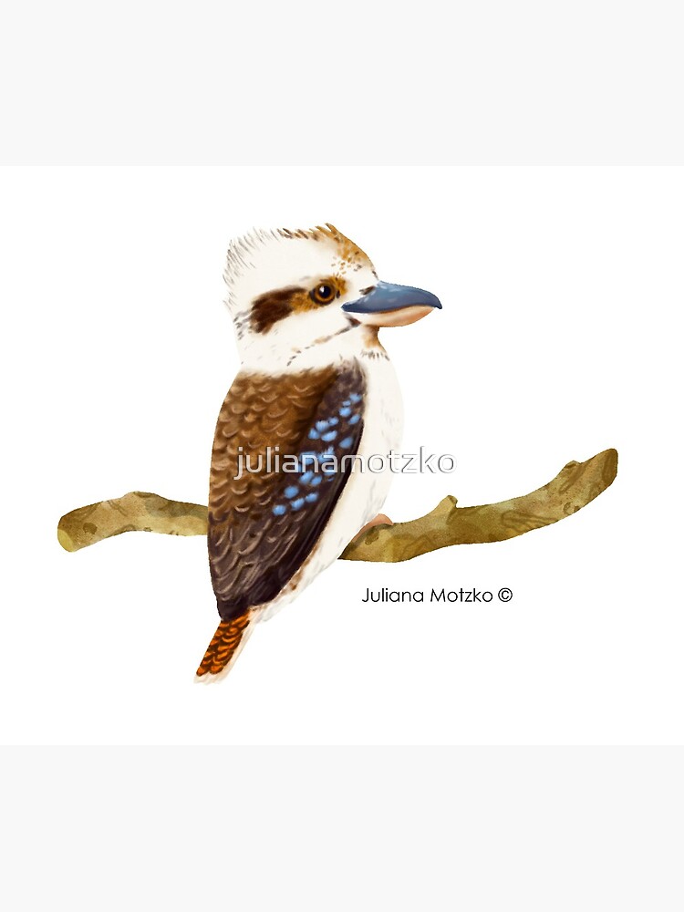 Kookaburra Bird by julianamotzko