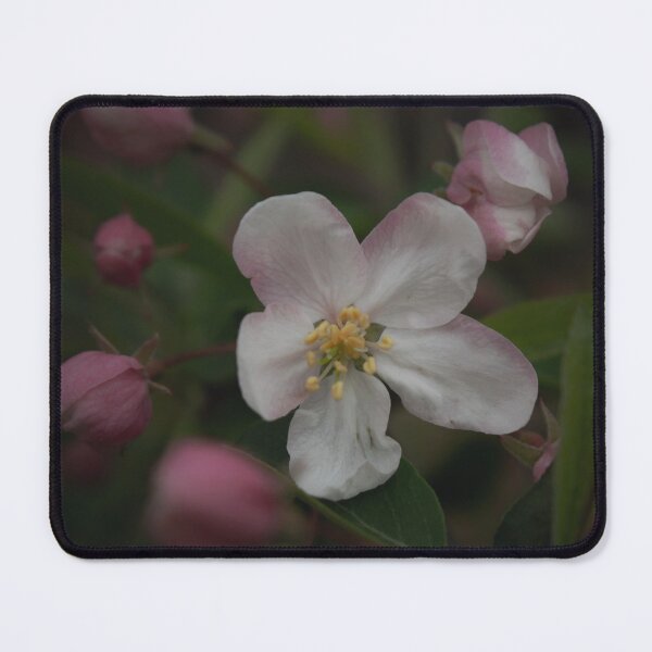 Item preview, blooming blossom  designed and sold by R-York.