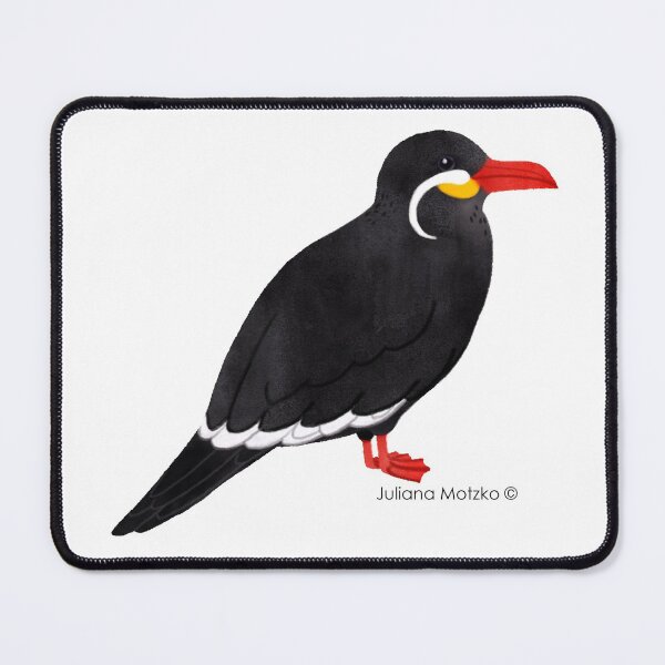 Inca Tern Mouse Pad