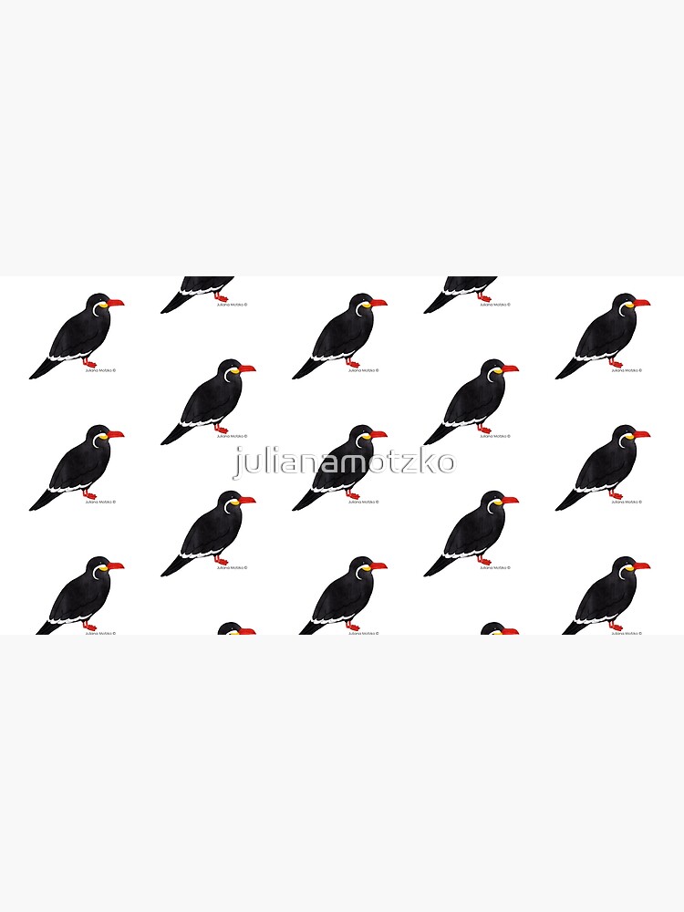 Inca Tern by julianamotzko