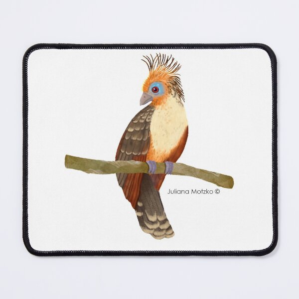 Hoatzin Bird Mouse Pad