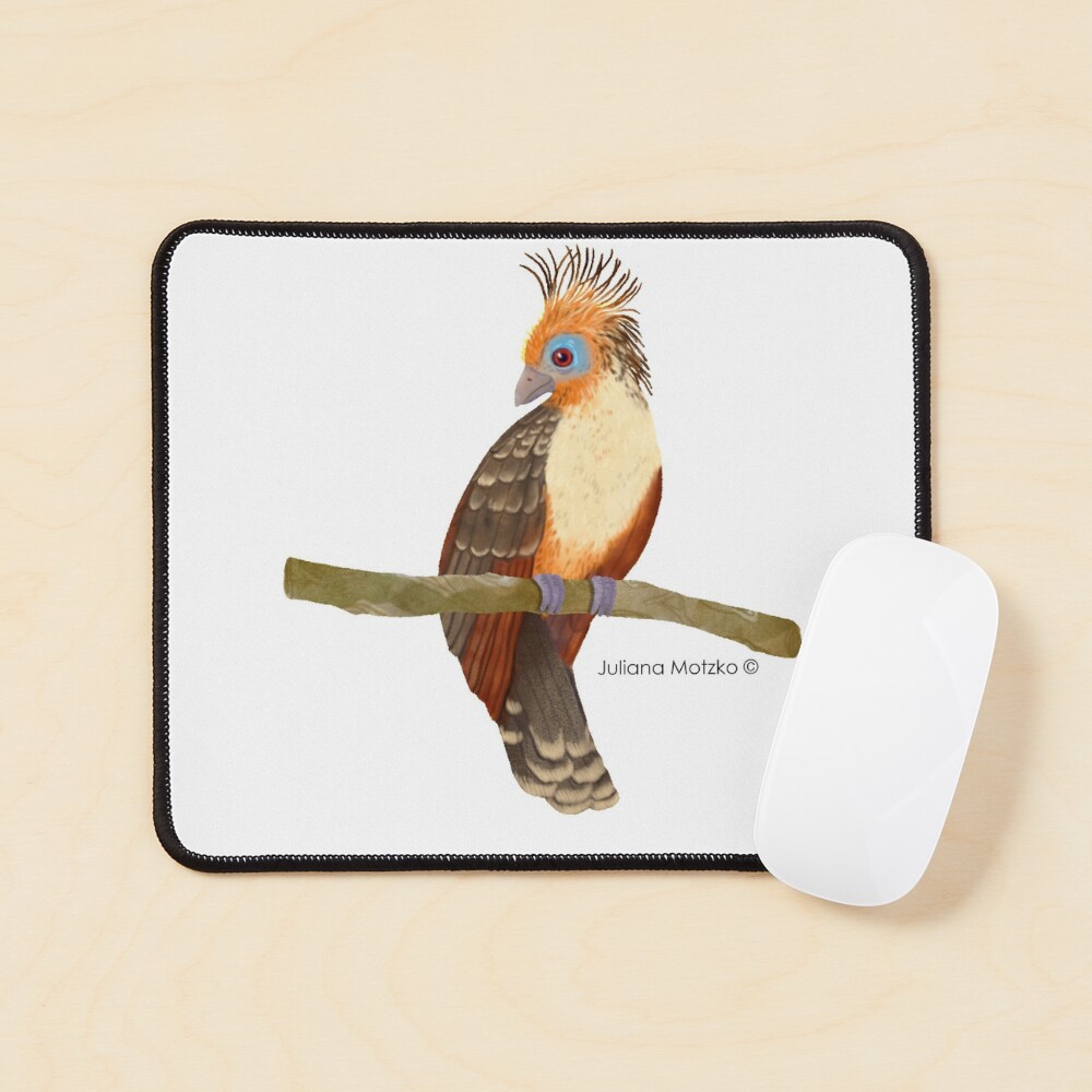 Hoatzin Bird Mouse Pad