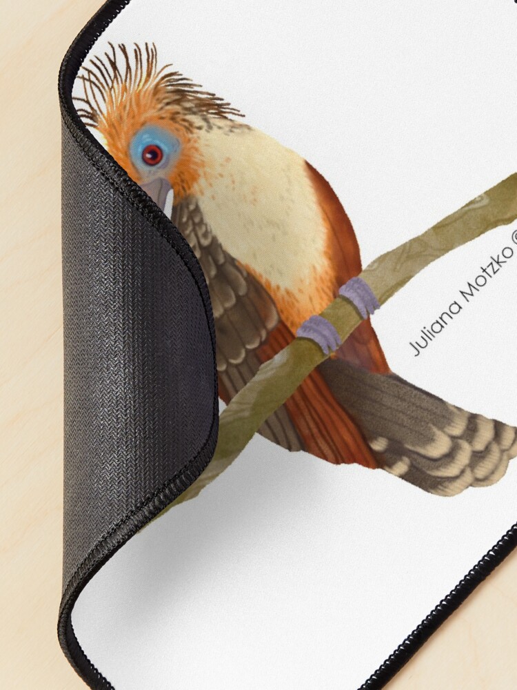 Alternate view of Hoatzin Bird Mouse Pad