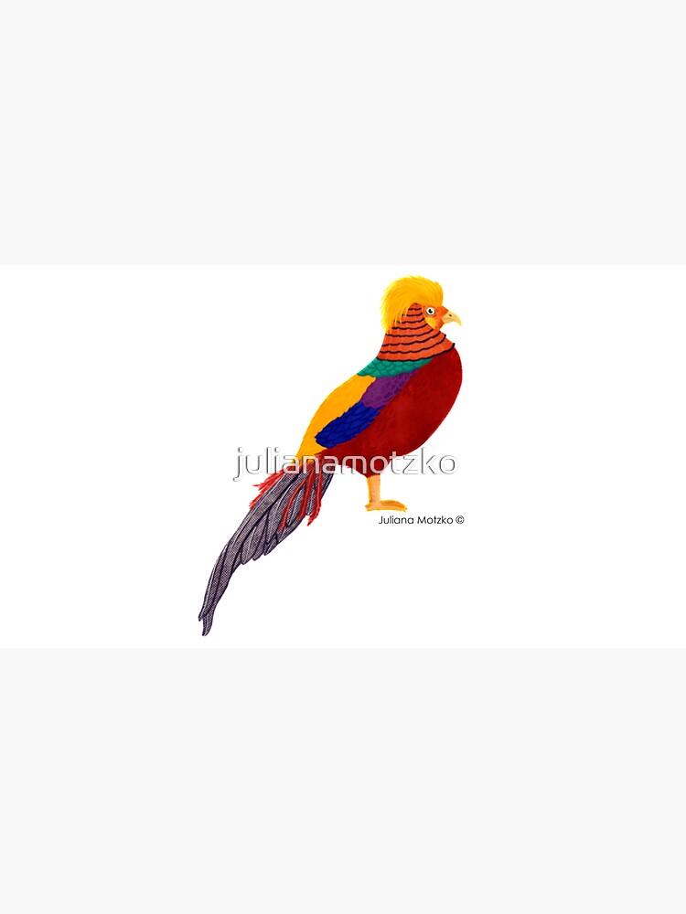 Golden Pheasant by julianamotzko