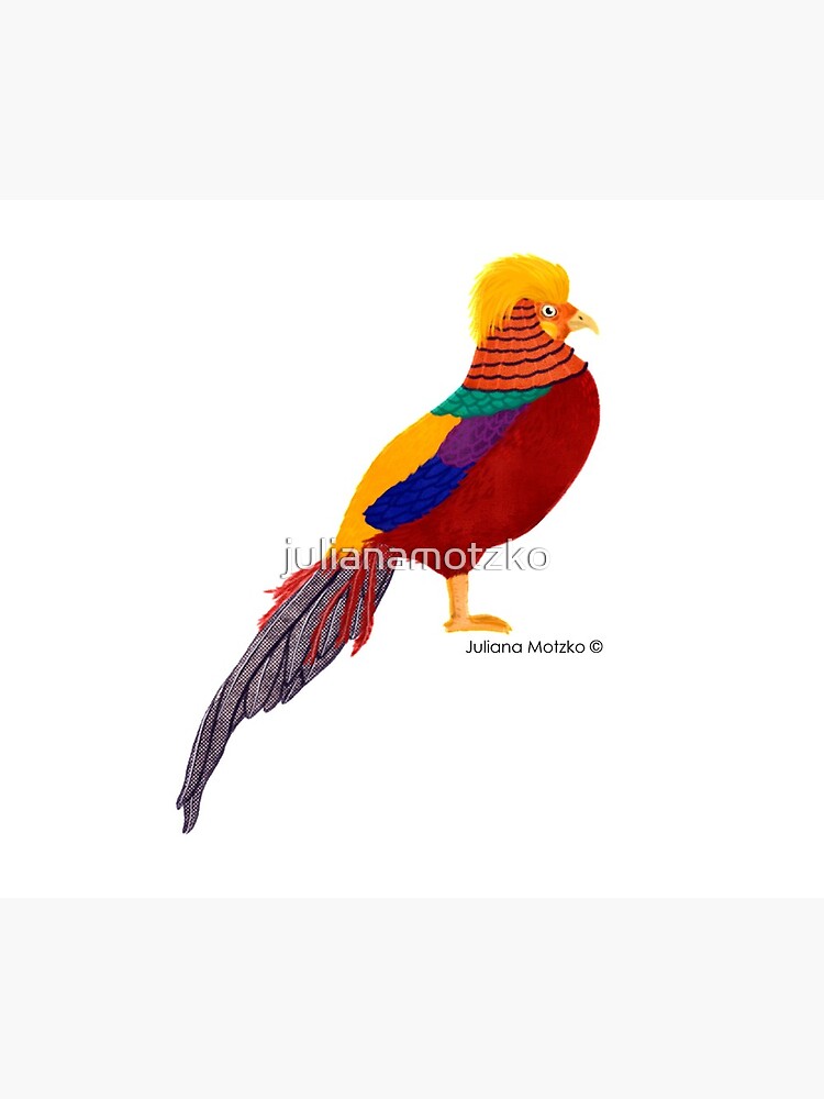 Golden Pheasant by julianamotzko