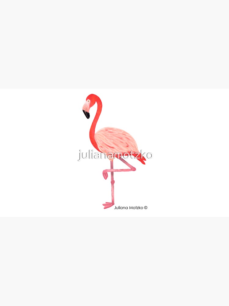 Flamingo by julianamotzko
