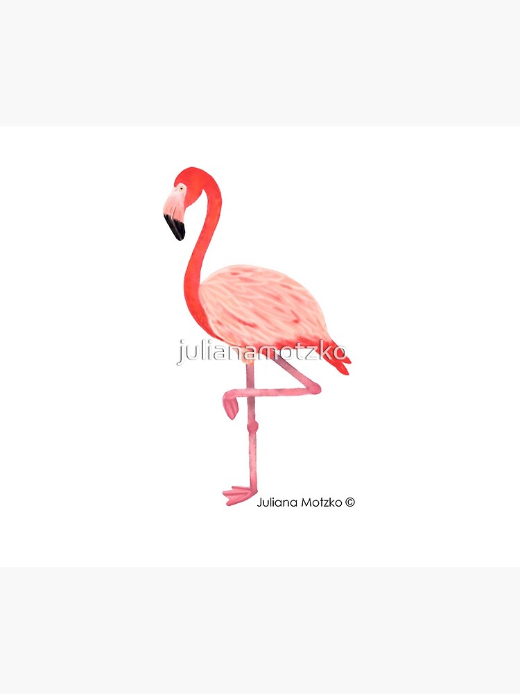 Flamingo by julianamotzko