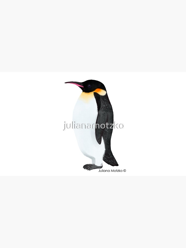 Emperor Penguin by julianamotzko