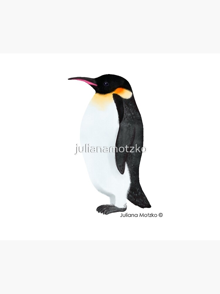 Emperor Penguin by julianamotzko