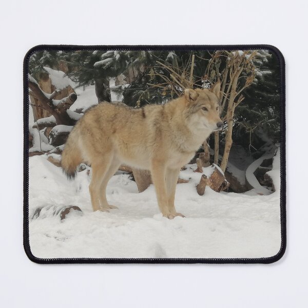 Item preview, Snow Wolf designed and sold by NatureDrawing.