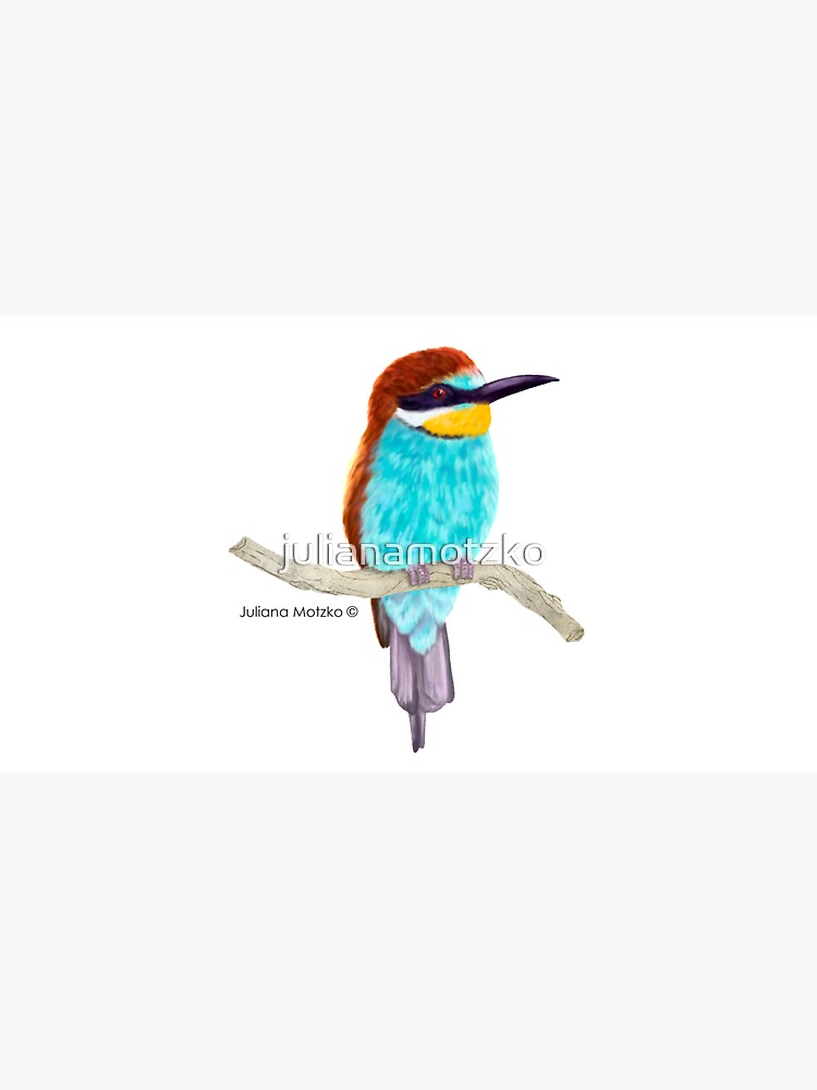 Bee Eater Bird by julianamotzko