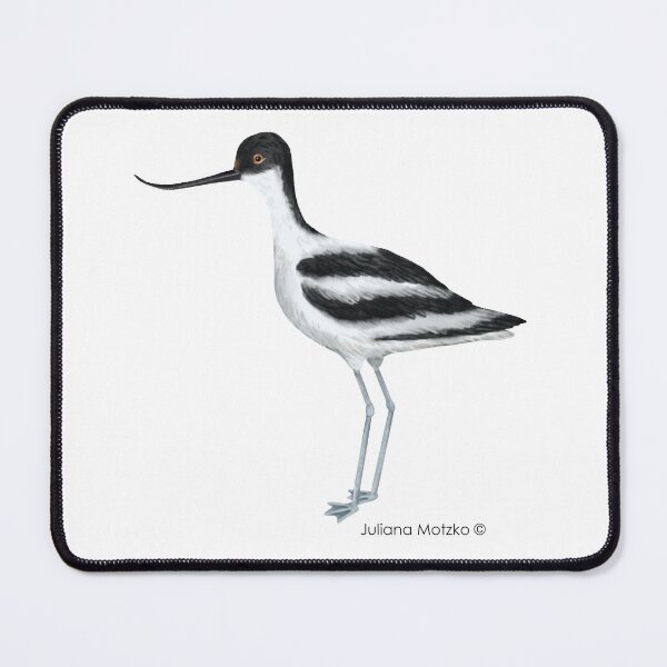 Item preview, Avocet designed and sold by julianamotzko.