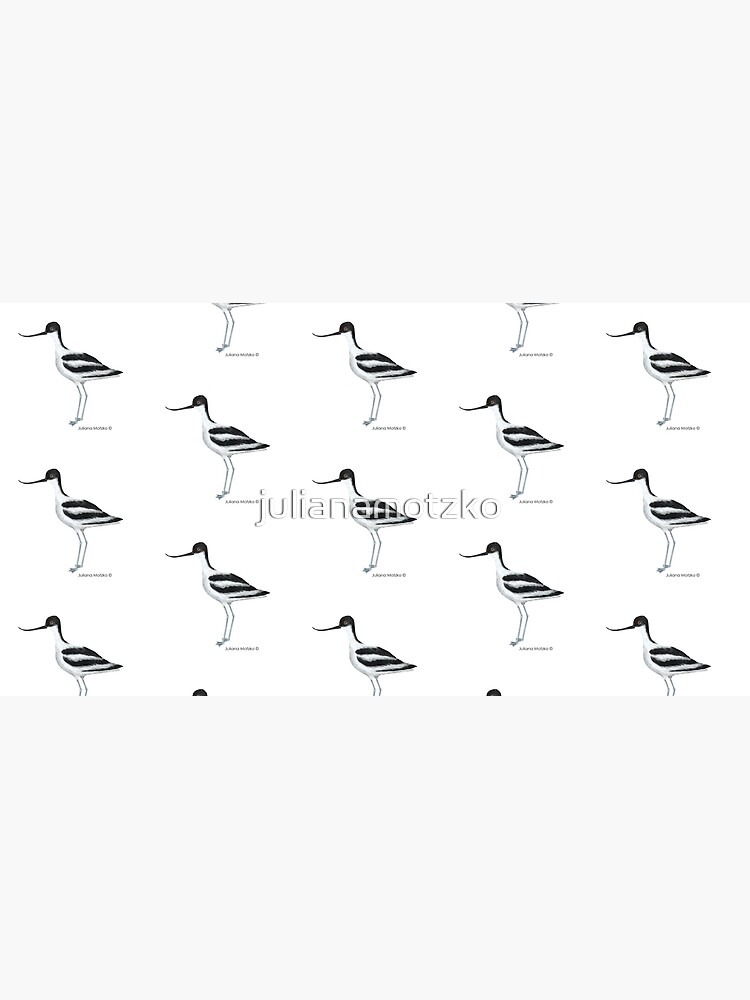 Avocet by julianamotzko