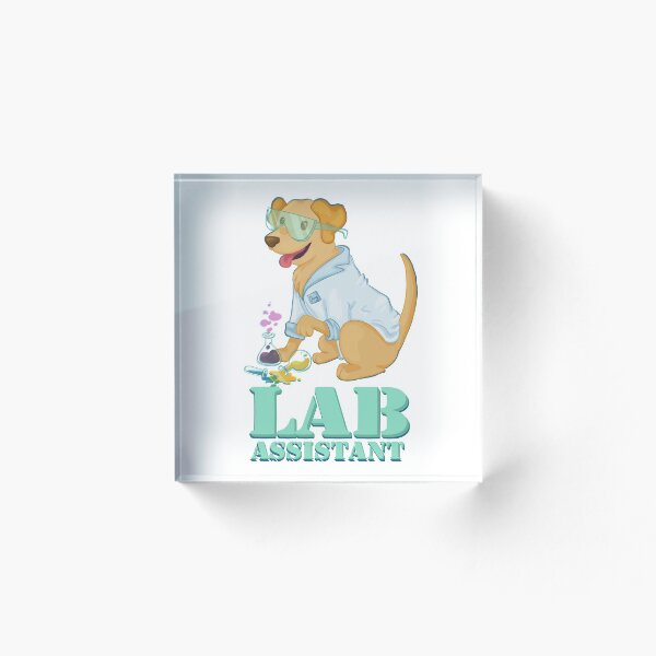 Aperçu de l'œuvre Assistant de laboratoire :^) créée et vendue par MillerBB.