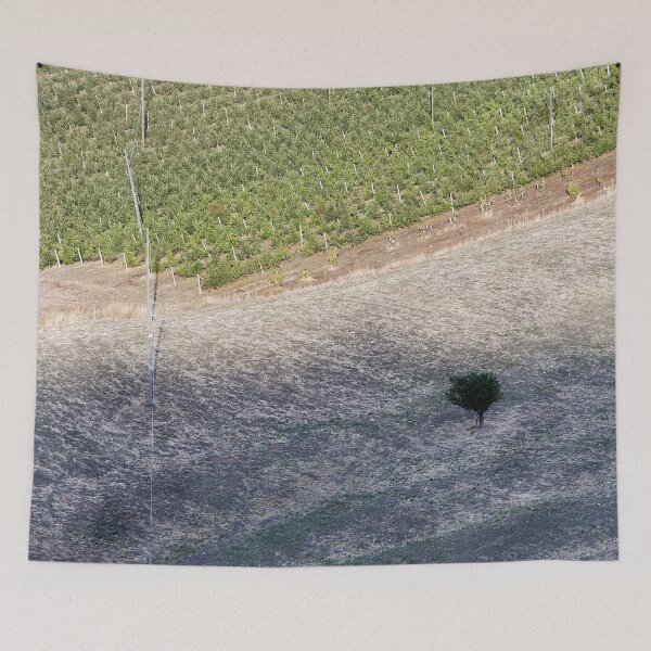 Item preview, 2010 Terra di Molise #07 designed and sold by robertoferrero.