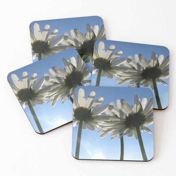 Item preview, White Daisies  designed and sold by Sam Morrison.