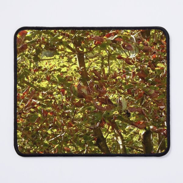 Item preview, Looking - A View  designed and sold by Carl Gaynor.