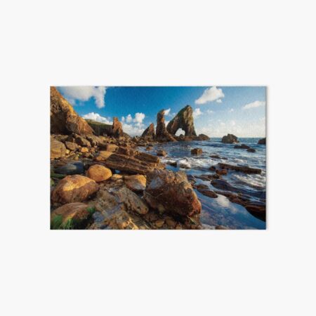 Evening Coastal Landscape Art Board Print