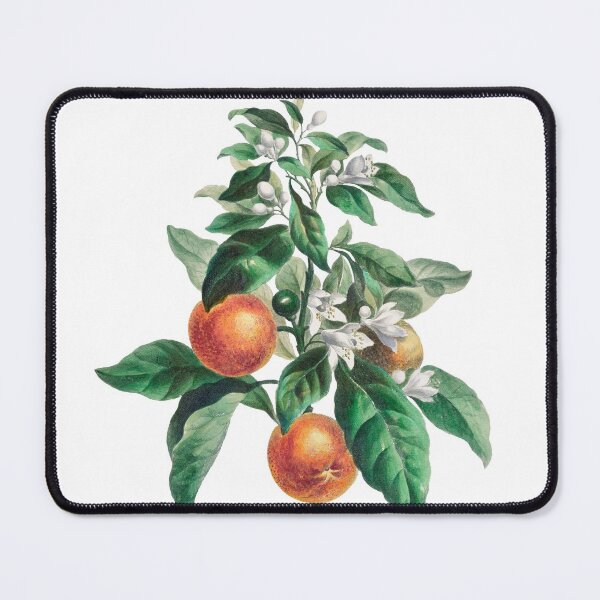 Item preview, Vintage Orange Tree Illustration designed and sold by JoyforU.