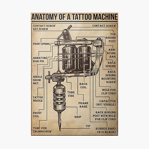 tattoo machine Diagram  Quizlet