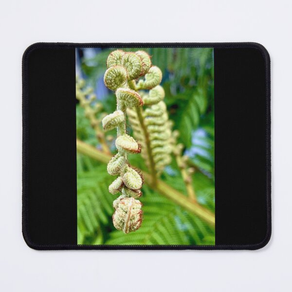 Item preview, Final Fern Frond designed and sold by KazM.