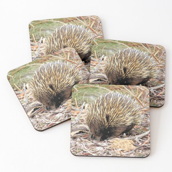 Item preview, Wild Short-beaked Echidna digging for ants, South Australia designed and sold by NanaRusty.