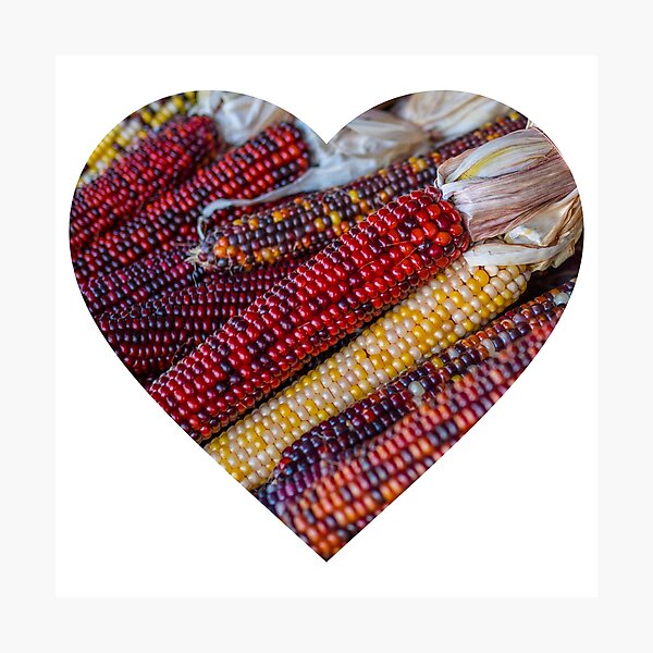 Item preview, Indian corn designed and sold by Thefatladiesfirearmsjourney .
